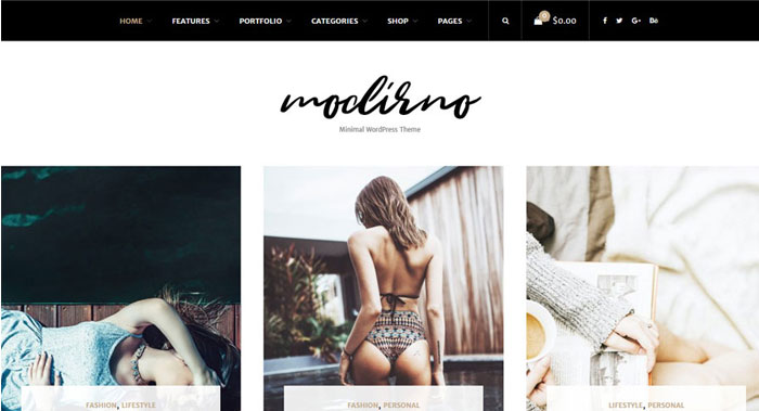 Modirno WordPress Theme Customization