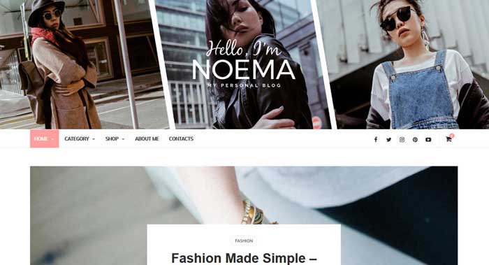 Noema WordPress Theme Customization