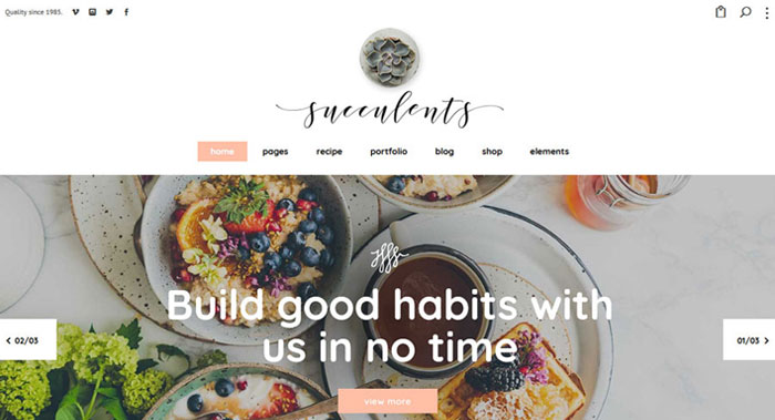 Succulents WordPress Theme Customization