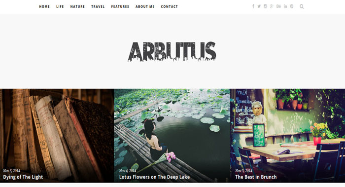 Arbutus WordPress Theme Customization