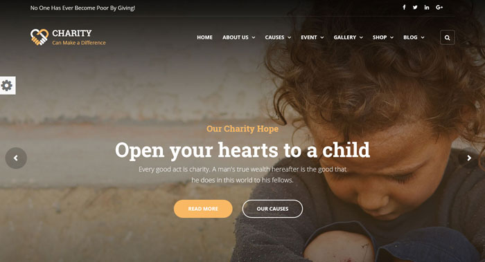 Charity WordPress Theme Customization