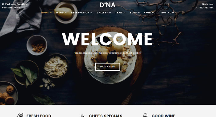 Dina WordPress Theme Customization