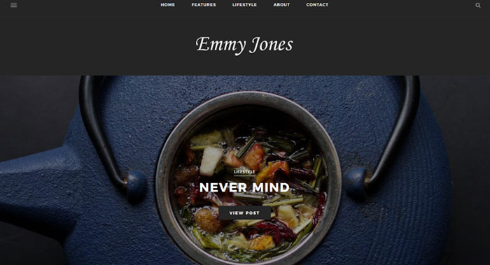 Emmy Jones WordPress Theme Customization