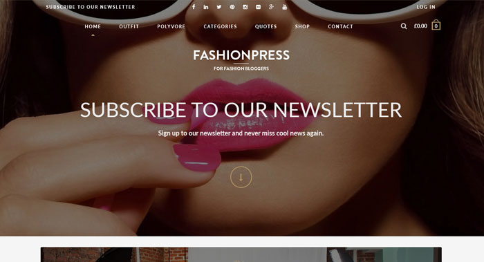 Fashionpress WordPress Theme Customization