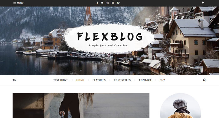 Flexblog WordPress Theme Customization