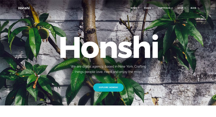 Honshi WordPress Theme Customization