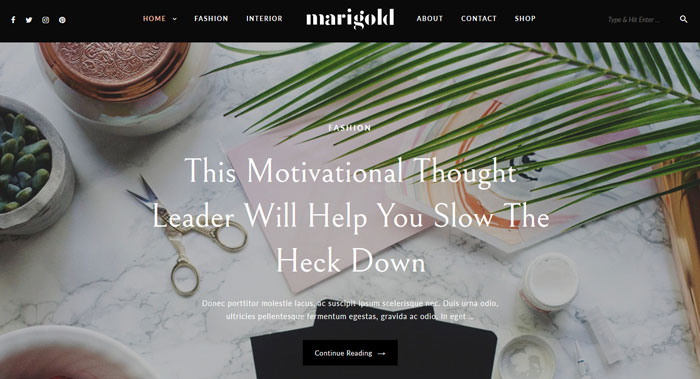 Marigold WordPress Theme Customization