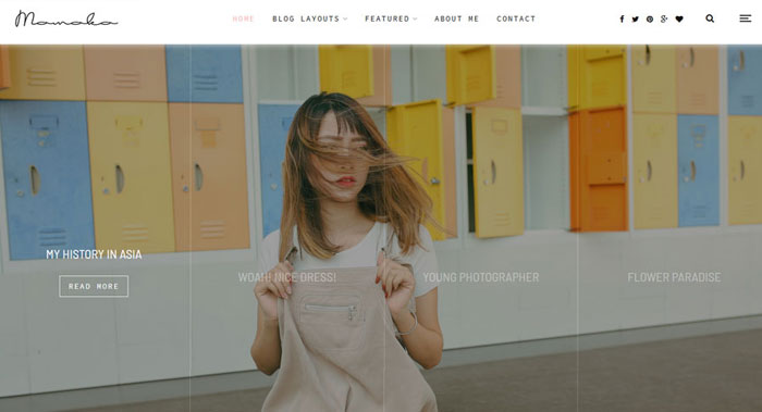 Momoko WordPress Theme Customization