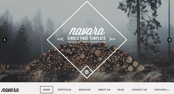 Navara WordPress Theme Customization