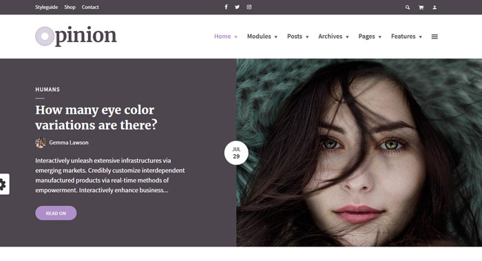 Opinion WordPress Theme Customization