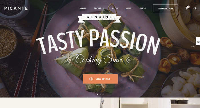 Picante WordPress Theme Customization