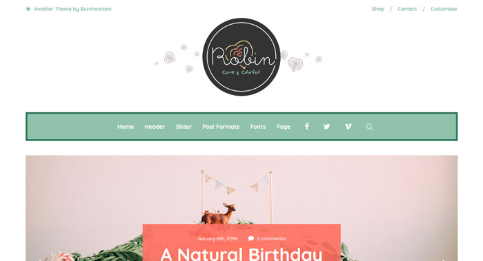 Robin WordPress Theme Customization