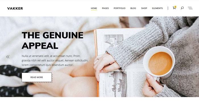 Vakker WordPress Theme Customization