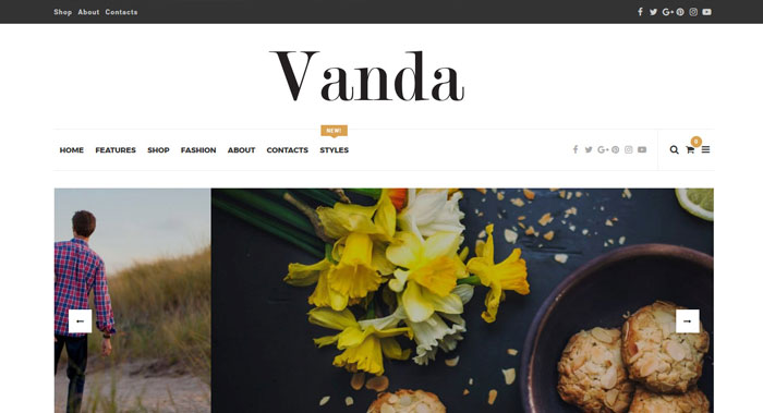 Vanda WordPress Theme Customization