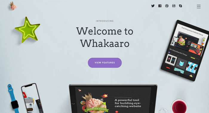 Whakaaro WordPress Theme Customization