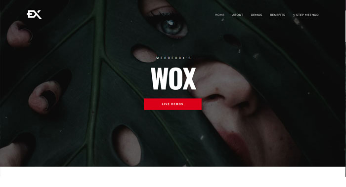 Wox WordPress Theme Customization